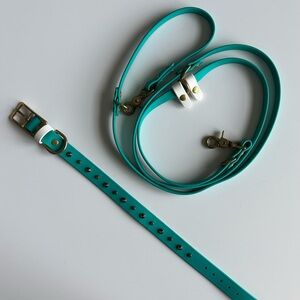 Dog collar and leash set